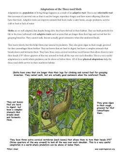 Adaptations of the Three-toed Sloth
