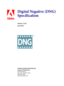 Digital Negative Specification (DNG)