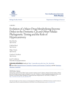 Evolution of a Major Drug Metabolizing Enzyme Defect