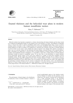Enamel thickness and the helicoidal wear plane in modern