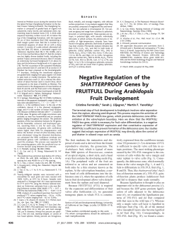 Negative Regulation of the SHATTERPROOF Genes by FRUITFULL