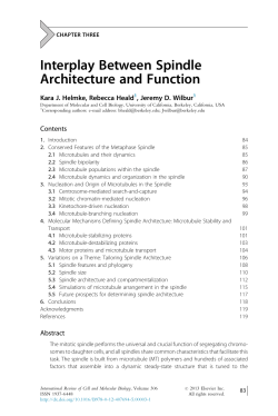 Interplay Between Spindle Architecture and Function