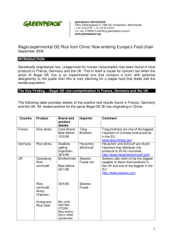 Illegal experimental GE Rice from China