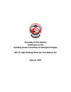 Assembly of First Nations Submission to the Standing Senate