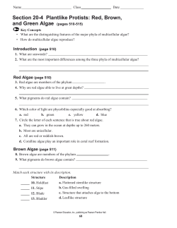 Section 20-4 Plantlike Protists: Red, Brown, and Green Algae