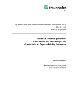 Formal vs. informal protection instruments and the strategic use of