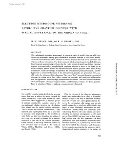 electron microscope studies on developing crayfish oocytes with
