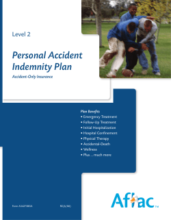 Personal Accident Indemnity Plan