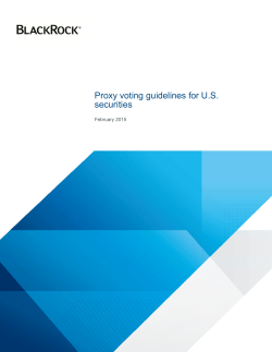 Proxy voting guidelines
