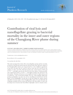 Contribution of viral lysis and nanoflagellate grazing to bacterial