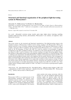 Structural and functional organization of the peripheral light