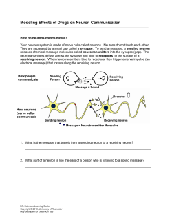 Modeling Effects of Drugs on Neuron Communication