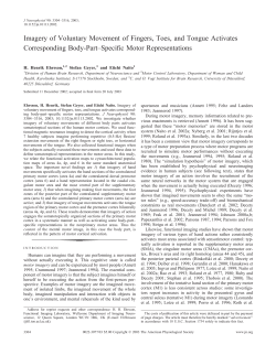 Imagery of Voluntary Movement of Fingers, Toes