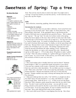 Sweetness of Spring: Tap a tree