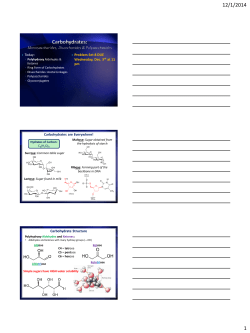 Carbohydrate Structure