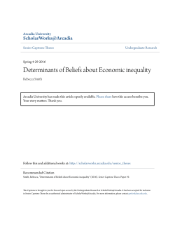 Determinants of Beliefs about Economic inequality