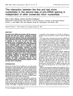 The interaction between the first and last intron nucleotides in the