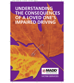 Understanding the Consequences of a Loved One`s Impaired