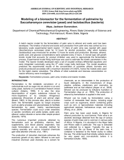 MODELLING OF A BIOREACTOR FOR THE FERMENTATION OF