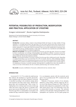 POTENTIAL POSSIBILITIES OF PRODUCTION, MODIFICATION