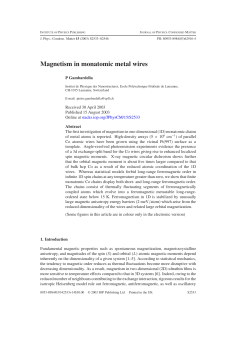 Magnetism in monatomic metal wires