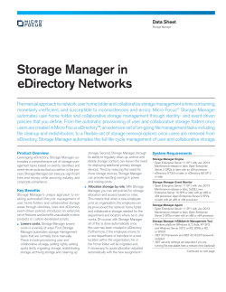 Storage Manager in eDirectory Networks