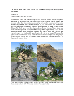 The Fossil Record of Chemosynthetic Ecosystems
