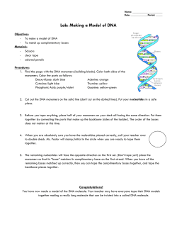 Lab: Making a Model of DNA