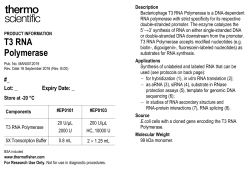 T3 RNA Polymerase - Thermo Fisher Scientific