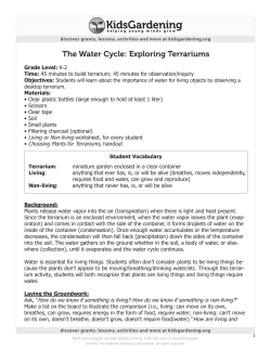 The Water Cycle: Exploring Terrariums