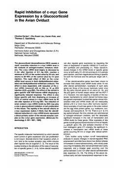 Rapid Inhibition of c-myc Gene Expression by a Glucocorticoid in the