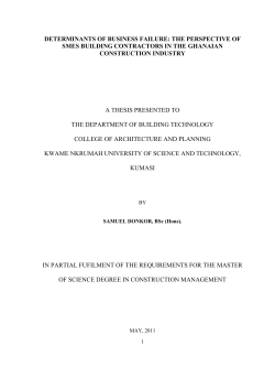 DETERMINANTS OF BUSINESS FAILURE: THE PERSPECTIVE OF