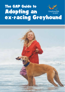 GAP Guide - Greyhounds as Pets