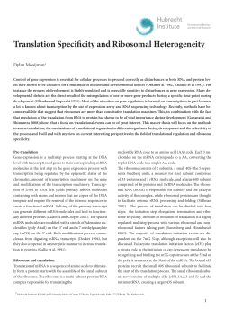 Translation Specificity and Ribosomal Heterogeneity