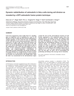 Calmodulin in cell division - Journal of Cell Science