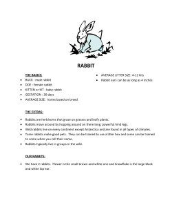 rabbit - Glacier Rock Farms