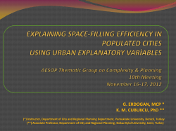 EXPLAİNİNG SPACE-FİLLİNG EFFİCİENCY İN POPULATED CİTİES