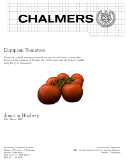 European Tomatoes Jonatan H&ouml;gberg