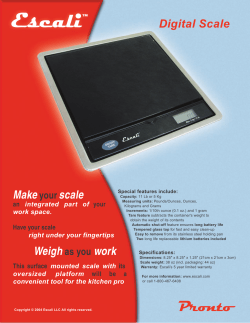 Digital Scale Makeyourscale
