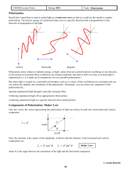 Polarization