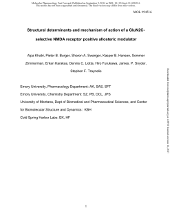 selective NMDA receptor positive allosteric modulator