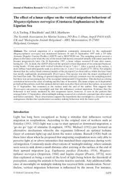 The effect of a lunar eclipse on the vertical