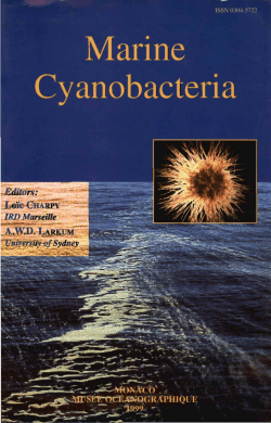 Marine cyanobacteria - IRD