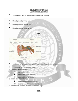 DEVELOPMENT OF EAR. LEARNING OBJECTIVES. &bull; At the end of