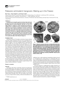 Paleozoic echinoderm hangovers: Waking up in the Triassic