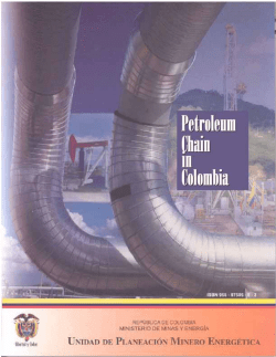 petroleum chain