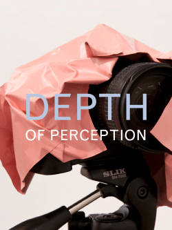 Depth of Perception - Oakville Galleries