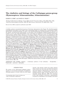 Hymenoptera: Ichneumonidae, Ichneumoninae