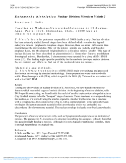 Entamoeba histolytica Nuclear Division: Mitosis or Meiosis