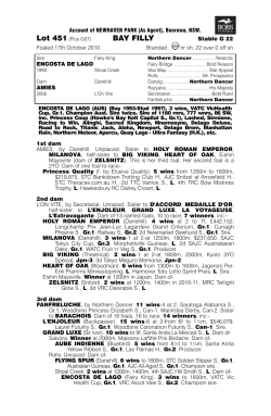 BAY FILLY